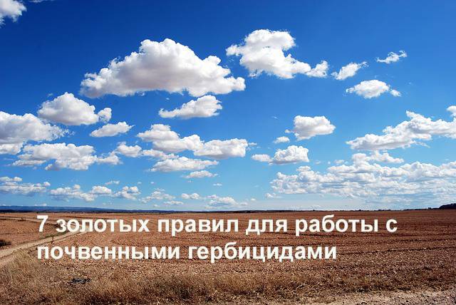 03130447.469238.7698